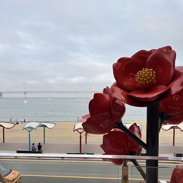 광안리 한옥 카페 [비엔나커피] ☕️🥐