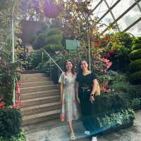 Enchanting Flower Dome at Gardens by the Bay