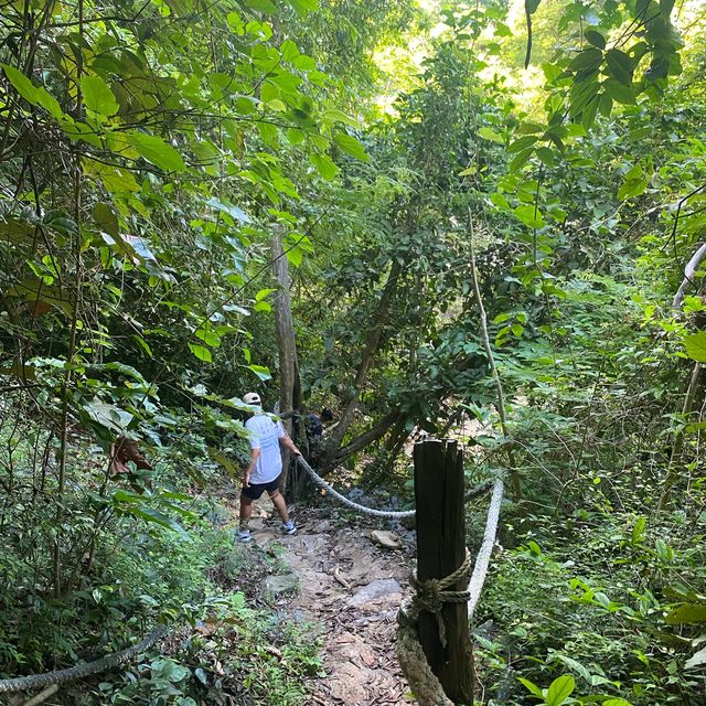 Trail on Phi Phi Island 