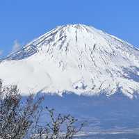 美味しすぎるハンバーグと綺麗な富士山