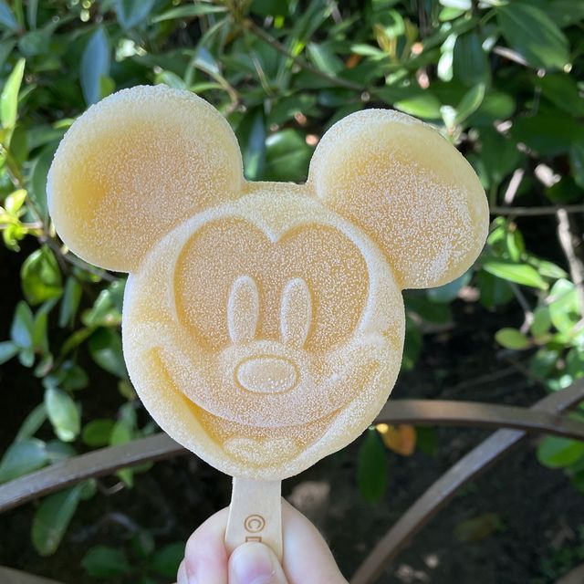2023年夏のディズニーシー 2023年夏のディズニーシー