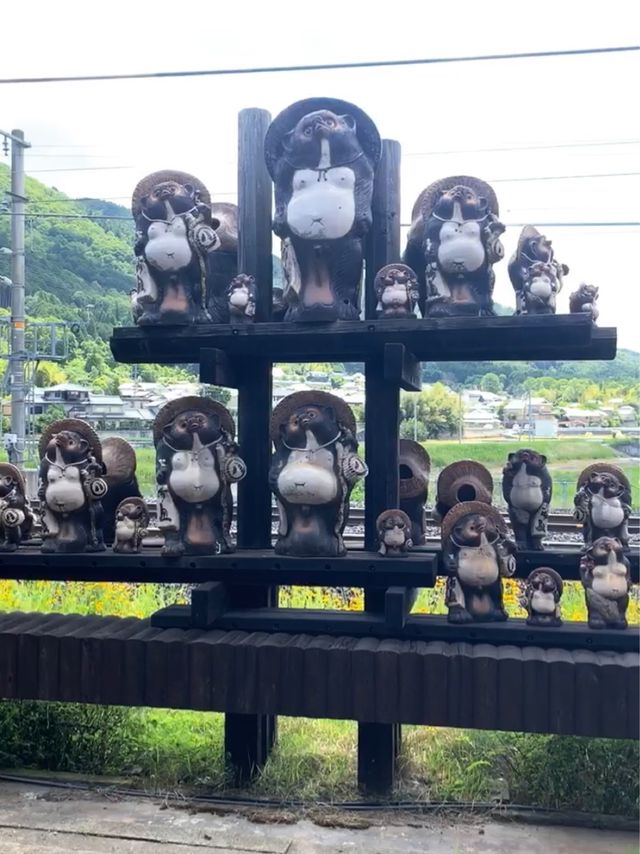 🥹🌸太漂亮了吧! 在JR嵯峨嵐山站隨意拍都是美照!🌿