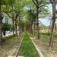 高雄景點 龍貓隧道