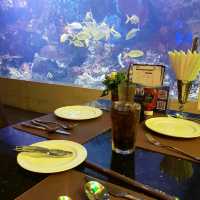 พากิน Copper Aquarium Restuarant