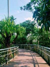 Mandai's Feathered Sanctuary - Bird Paradise