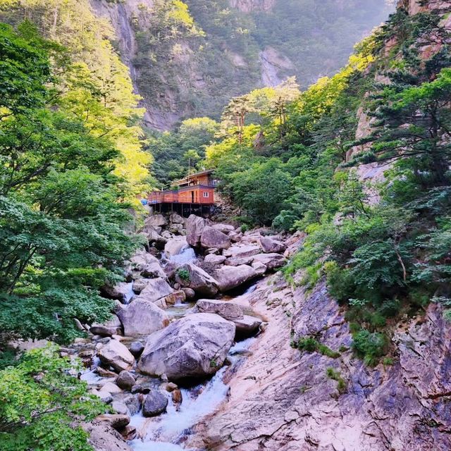 🌊 그림같이 아름답고, 천국같이 장엄하고 아찔한 천당폭포