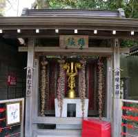 Takao Mountain