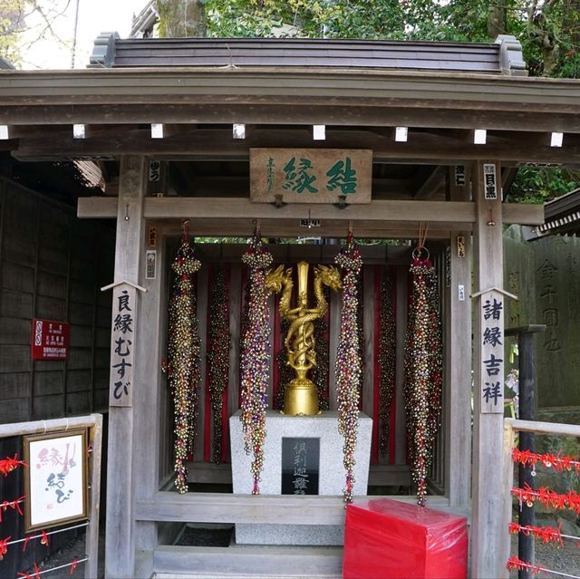 Takao Mountain