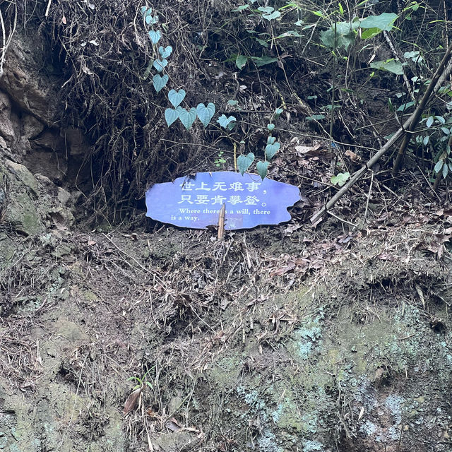 成都周邊桫欏峽谷：自然徒步