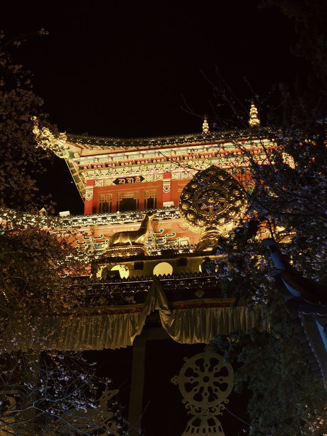 香格里拉 ｜獨克宗古城 來到心中月光城🌙