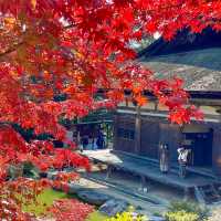 Zensui-ji: Miracles on Mount Iwane