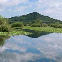 สวนพฤกษศาสตร์ รอวมื