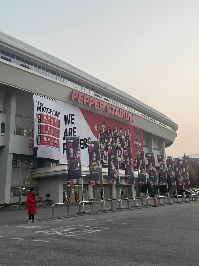 따뜻한 실내에수 흥미진진한 배구직관! 광주페퍼스타디움