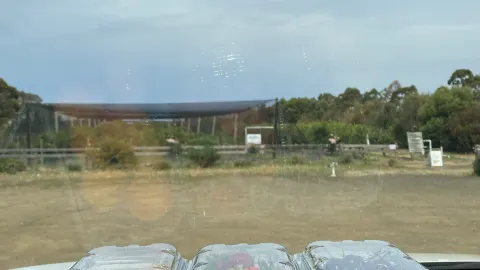 Fruit picking in Tasmania — traveler post in Sorell