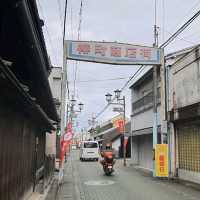 奈良隱藏景點，郡山金魚之都