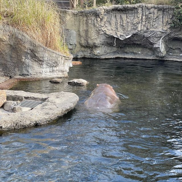 童趣大阪行程😉天王寺動物園👍🏻難波10分鐘車程