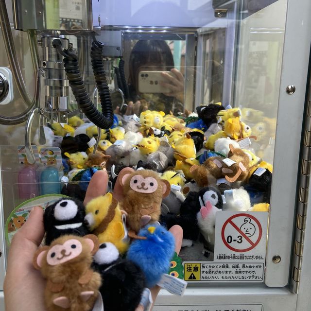 名古屋必去 - 東山動植物園！還有遊樂場！
