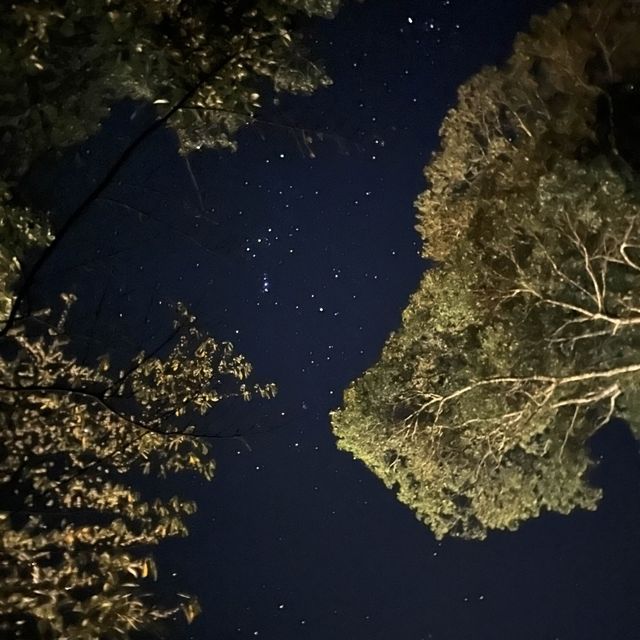露營樂-馬胎館