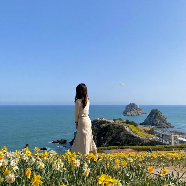 오륙도에는 벌써 봄이왔어요〰️💛