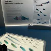 親子西貢郊遊好去處～