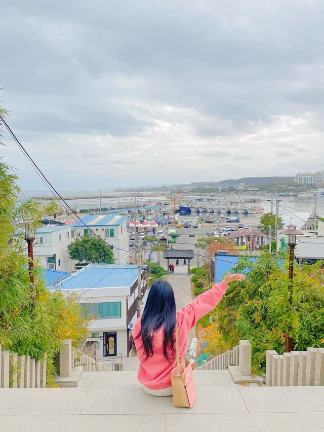 포토존 가득한 포항 일본가옥거리