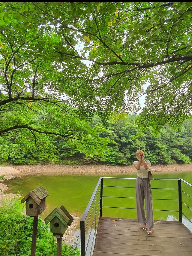 인정할 수 밖에 없는 용인 벚꽃뷰 카페 🌸