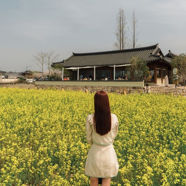 경주 데이트코스 베이글맛집