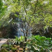 แดนเทวดาคาเฟ่