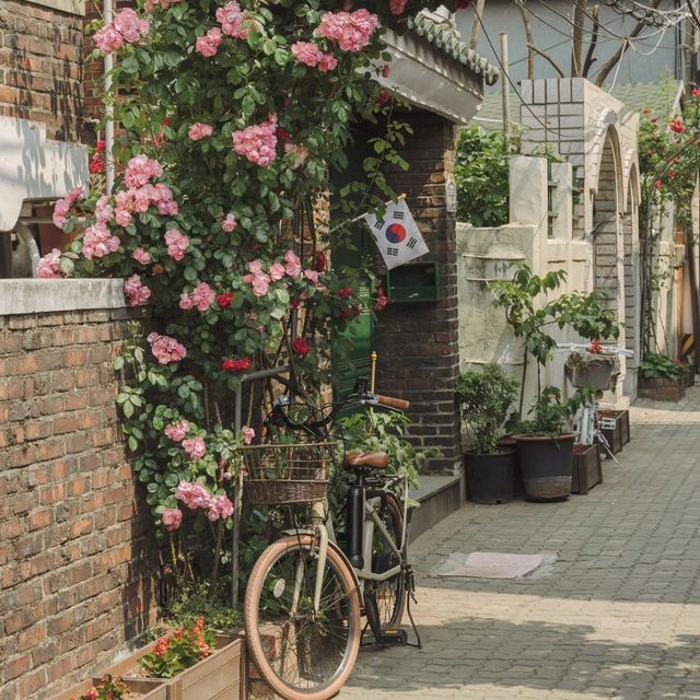 서울 장미꽃 명소 천호 장미마을 