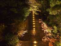 知恩院—紅葉夜之美