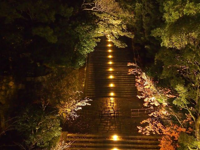 知恩院—紅葉夜之美