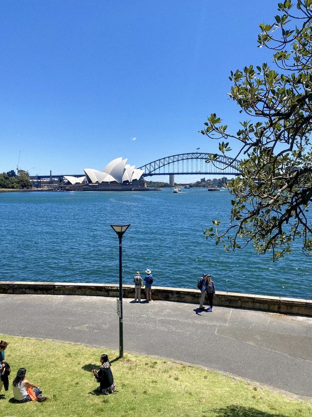 시드니 필수 코스 🇦🇺