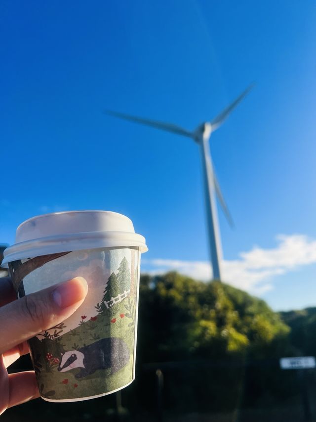 Destiny in Windmill Farm, Albany😅🥰😎