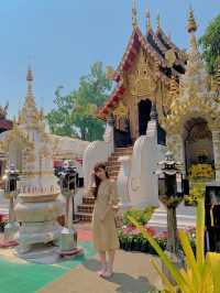 🙏 สายมูห้ามพลาด! ขอพรวัดดัง @วัดป่าแดด เชียงใหม่