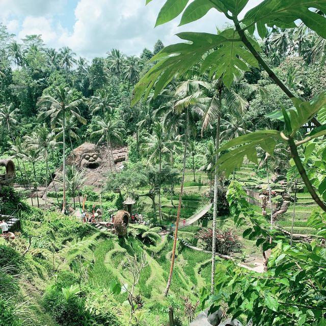 【バリ島】ライステラスへようこそ "Alas Harum Bali"