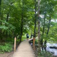 克羅地亞景點✨走進十六湖國家公園