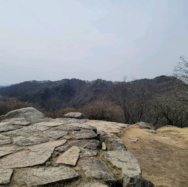 두근두근여름휴가 대전의 인기 산 보문산 등산