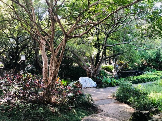 台北｜☀️🌳🍃綠色文學步道📍 Beitou Park 北投公園