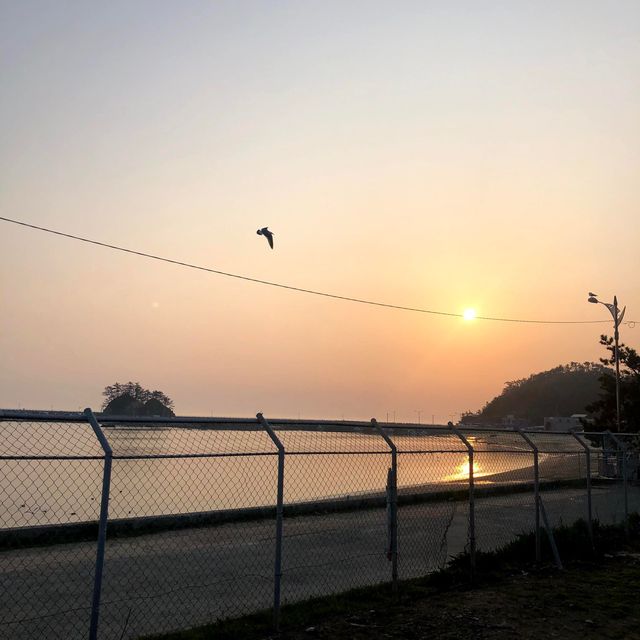 바다 바로앞 캠핑장 어은돌송림캠핑장