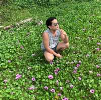 หาดสุรินทร์ พักผ่อนชิลได้ทั้งวัน