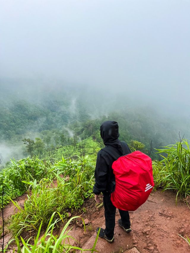 อุทยานแห่งชาติภูสอยดาว | Phu soi dao National Park