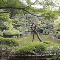藝術與自然的奇妙結合！東京都庭園美術館🖼️🌿