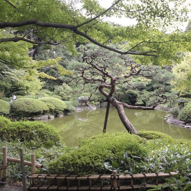 藝術與自然的奇妙結合！東京都庭園美術館🖼️🌿