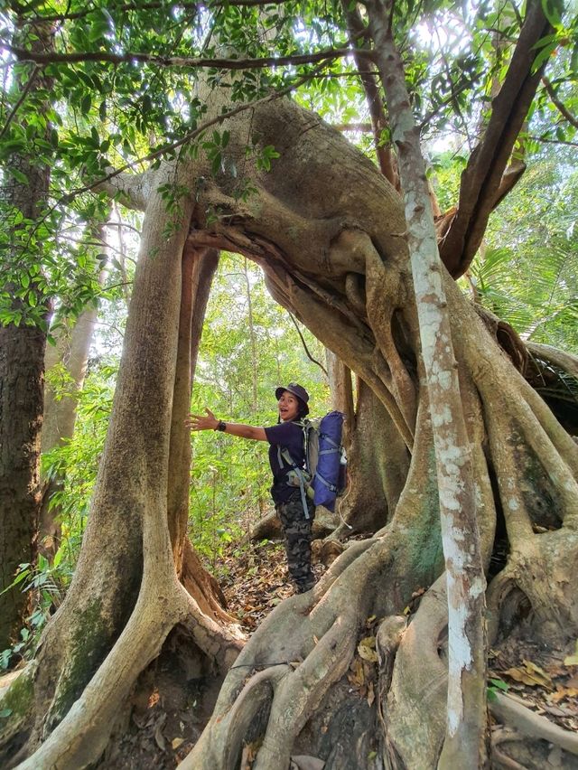 ⛰️ดอยหลวงตาก