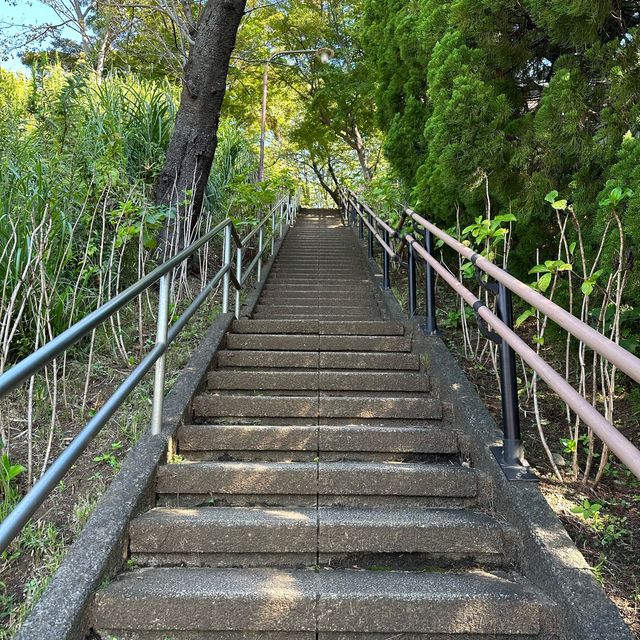 📍多摩川台公園/東京