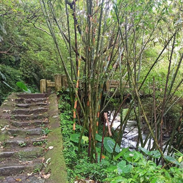 祕境溪流古道 ~ 狗慇勤古道