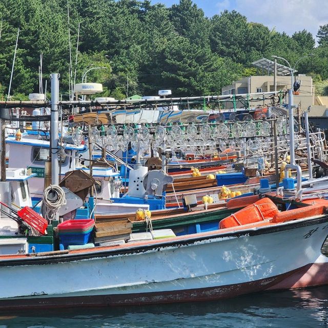 ⛵ 하늘아래 첫마을 도두에서 만나는, 도두항 풍경