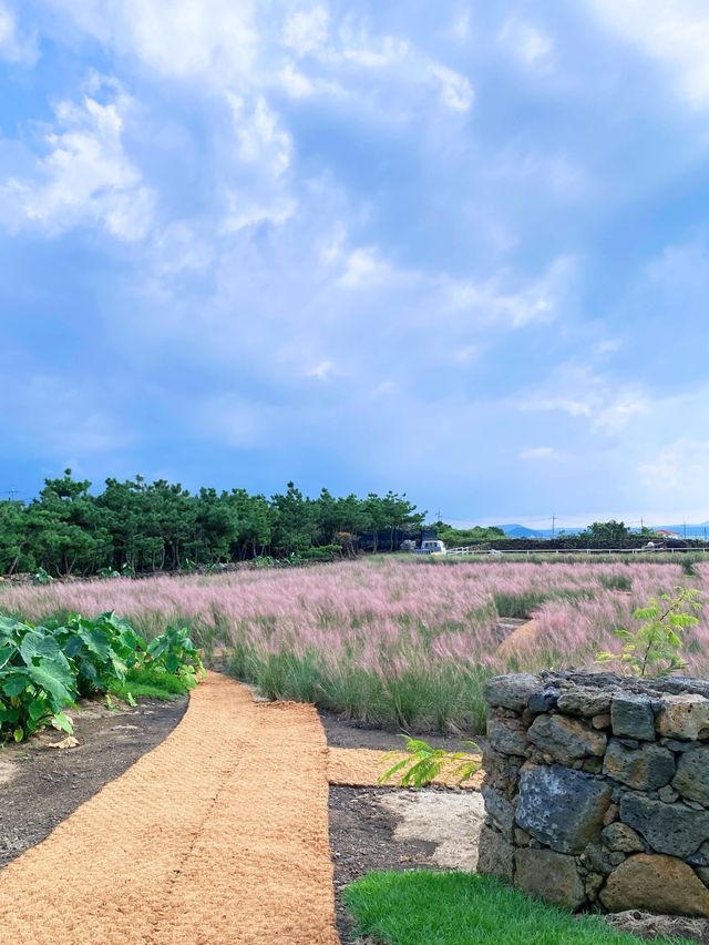 제주 우도에서 만나는 포토존 우도 정원🌿