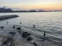 福岡・名島。天然記念物『名島帆柱石』と『名島海岸』