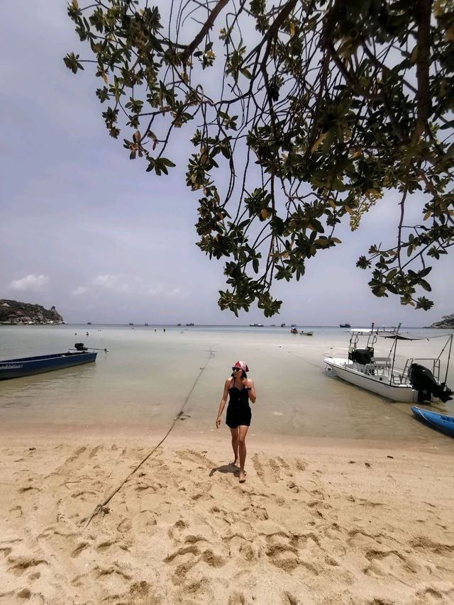เกาะเต่า...ไม่เหงาใจ